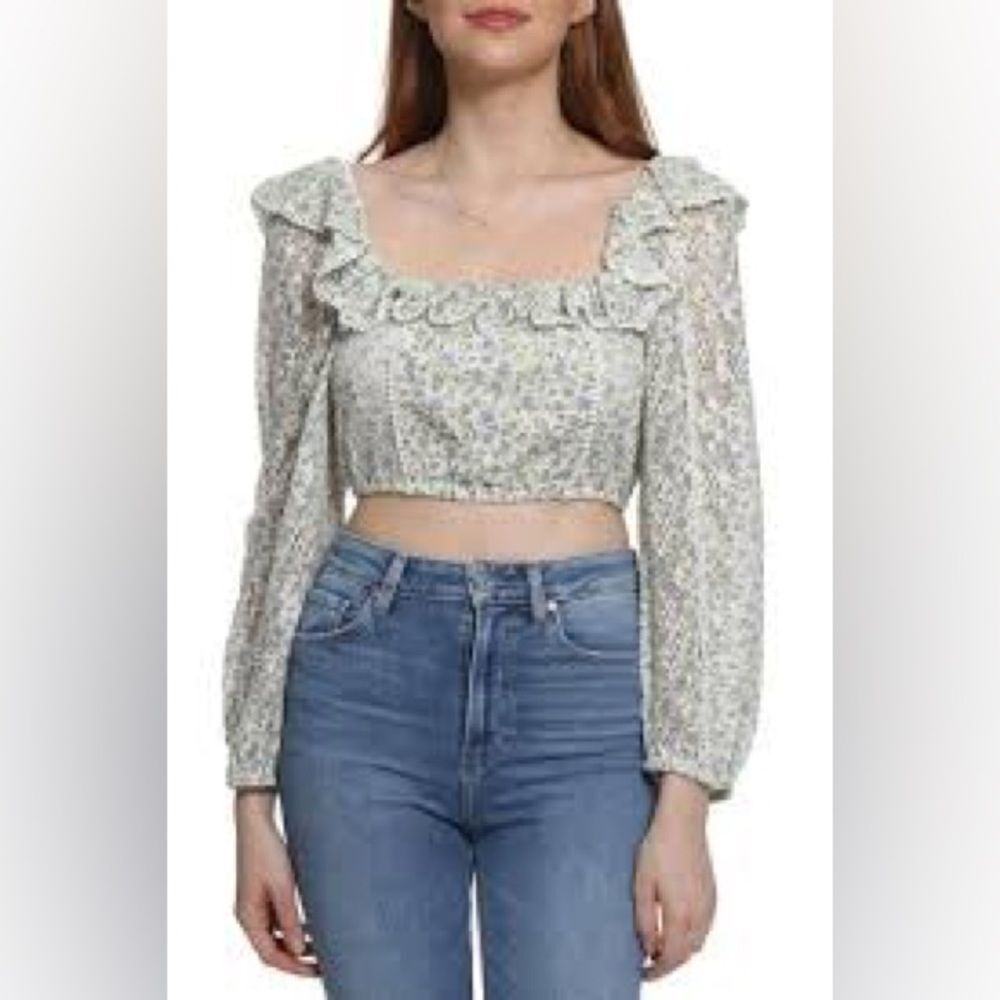 Love Shack Fancy Dorabella Crop Top - Picture 6 of 12
